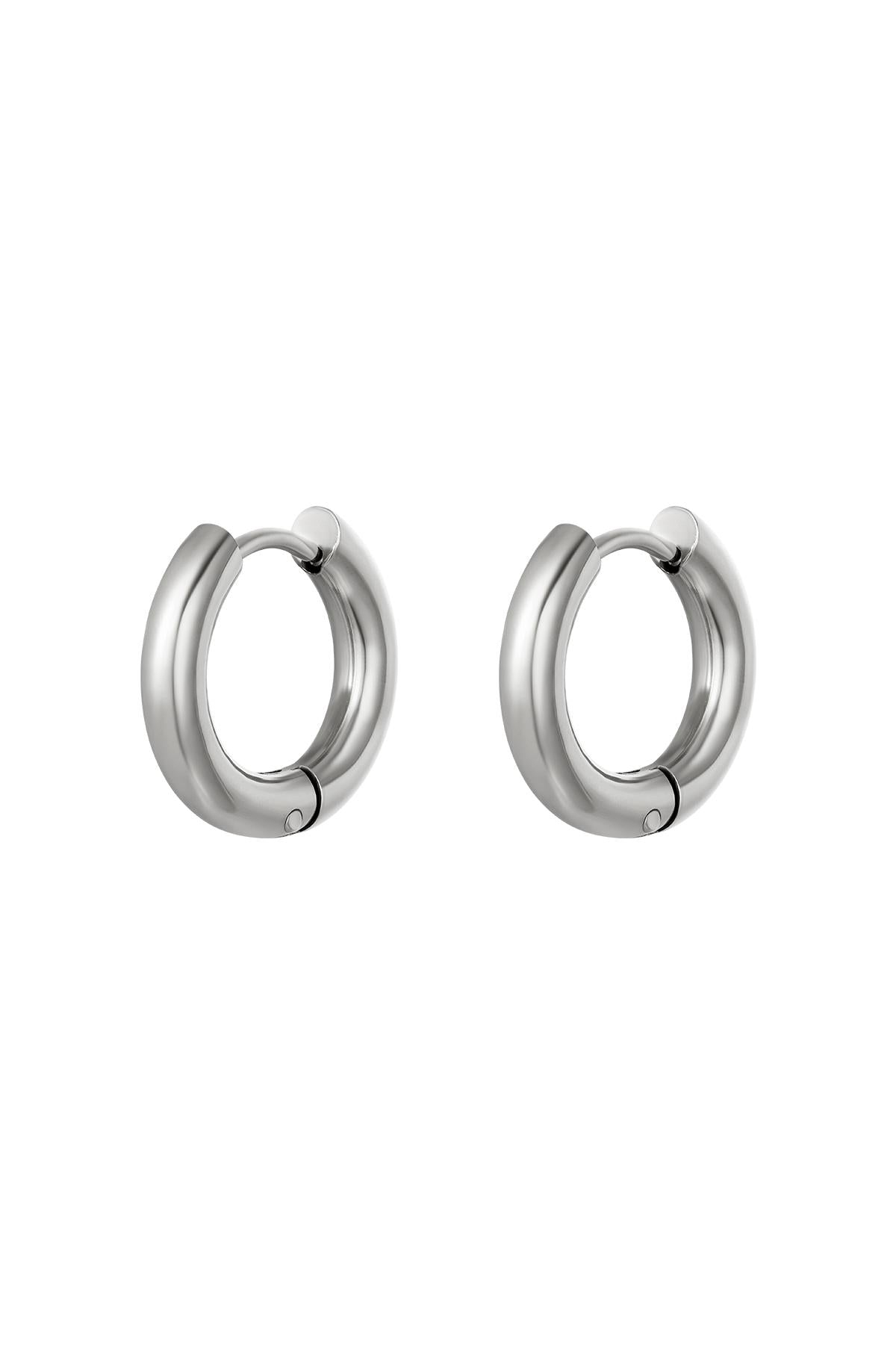 Elegant Silver & Gold Hoop Earrings for Everyday Wear