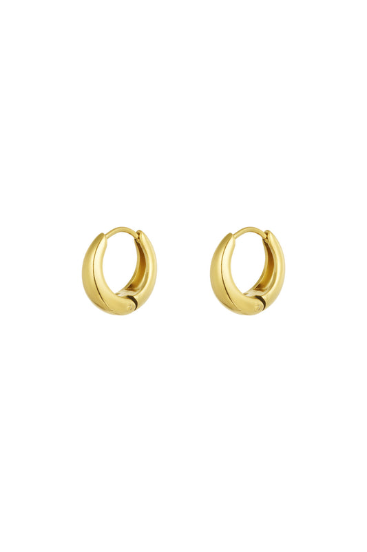 Stylish Basic Hoop Earrings in Silver & Gold