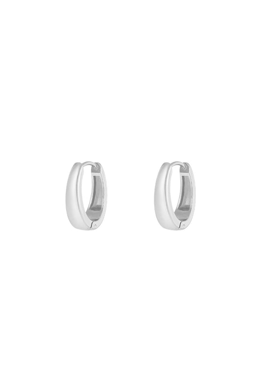 Stylish Stainless Steel Hoop Earrings - Silver & Gold