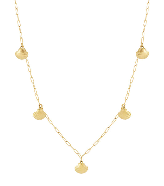 Elegant Gold Long Necklace with Shell, Perfect for Spring/Summer